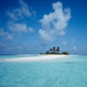 Meet your Posher, Jean